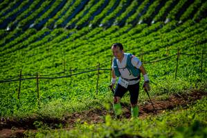 BIB: 9744
                            <button type="button" onclick="openModal(19160909)" class="btn btn-primary btn-sm float-right btn-popup" data-toggle="modal" data-target=".modal-high-quality">
                        <i class="fas fa-shopping-cart"></i> Add to Cart
                    </button>
                                            <button type="button" onclick="isThisMe(19160909, true)" class="btn btn-success btn-sm float-right btn-popup btn-isme hidden" data-toggle="tooltip" data-placement="bottom" title="นี่คือรูปของคุณใช่ไหม คลิกที่นี่เพื่อเอาเข้าอัลบั้ม">
                        <i class="fas fa-plus"></i> Add to album
                    </button>
                    <button type="button" onclick="isThisMe(19160909, false)" class="btn btn-warning btn-sm float-right btn-popup btn-isnotme hidden">
                        <i class="fas fa-ban"></i> Remove from album
                    </button>